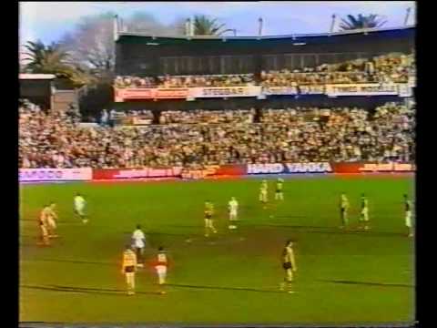 VFL R12 1983 - Hawthorn v Fitzroy