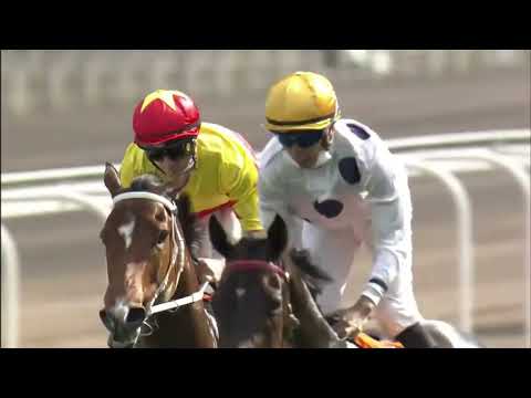 【🌏いざ日本の地に向けて完勝🗾】前哨戦である香港チャンピオンズマイル2022🏅を2馬身半差で連覇 したゴールデンシックスティ号🏇は次走を安田記念へと定めた。24/4/2022 Golden Sixty