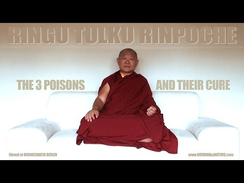 THE 3 POISONS and their CURE • by RINGU TULKU RINPOCHE