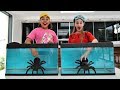 WHAT'S IN THE BOX CHALLENGE - UNDERWATER | Toys AndMe WHAT'S IN THE BOX CHALLENGE - UNDERWATER | Toys AndMe