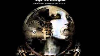 The Duskfall &quot;Shoot It In&quot;