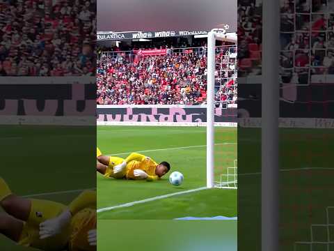 Top moment des gardiens n*03 #football