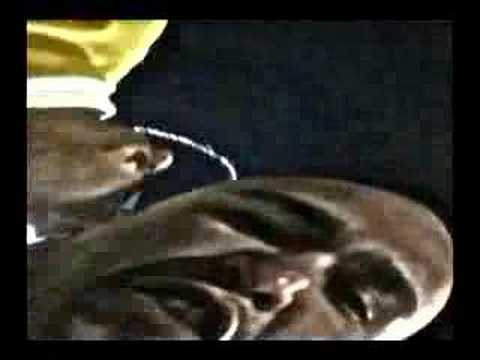 THE ANTHEM-COA CILCK LIL CKROOK CLUMBSY BOY