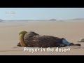 African Desert Prayer Islamic Woman Poets Bahai Melody
