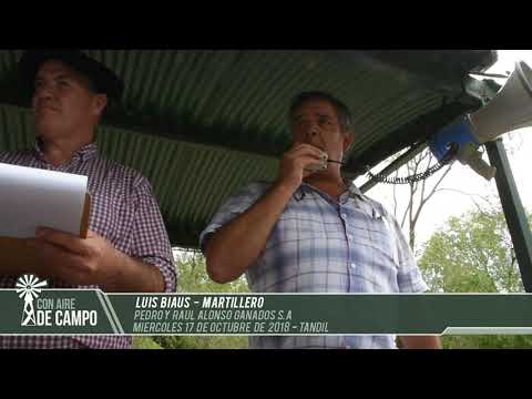 Luis Biaus - Pedro y Raúl Alonso Ganados S.A - Miércoles 17 de octubre de 2018 - Tandil