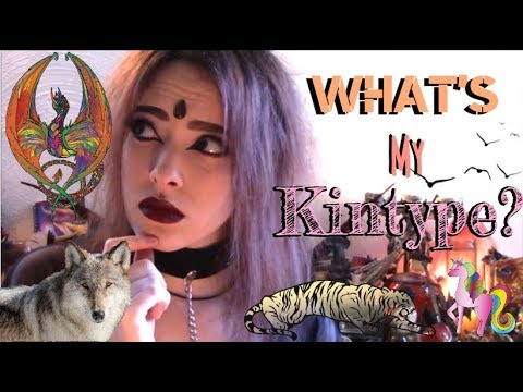 🐲How To Find Your Kintype🐺 | ☙Therians & Otherkin❧