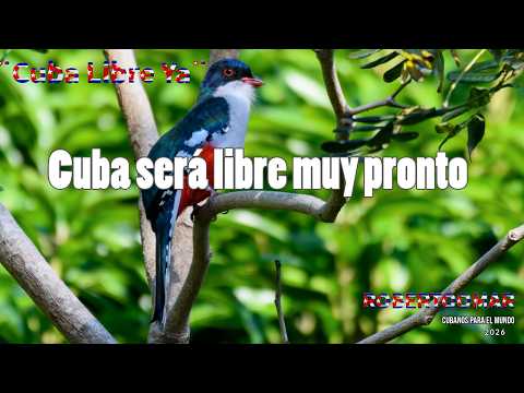 ROBERTOOMAR - Cuba Libre Ya
