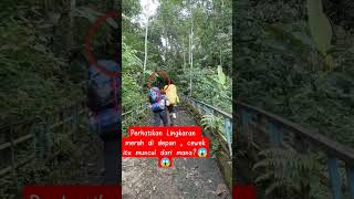 Download lagu viral teleportasi di pendakian #mistis #angker #pendakiindonesia #horor #pendakigunung #viralshort mp3