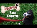 PAWS 101 Park Etiquette For Pets