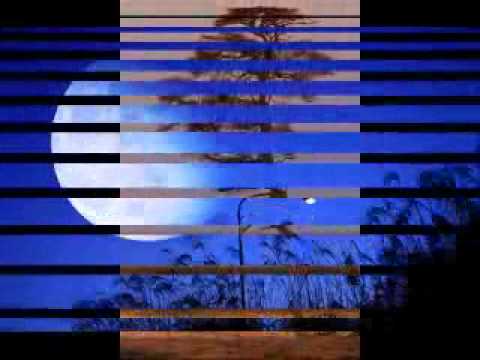 A luz da Lua é a luz do Sol - Angela Beirão