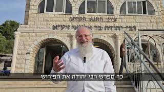 רבי יהודה: שבחן של ישראל | הרב שמואל אליהו | הלכה יומית | י״ד אייר תשפ״ה (הרב שמואל אליהו) - התמונה מוצגת ישירות מתוך אתר האינטרנט יוטיוב. זכויות היוצרים בתמונה שייכות ליוצרה. קישור קרדיט למקור התוכן נמצא בתוך דף הסרטון