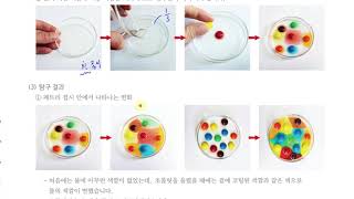 [초등과학 5-1 무료강의] 4. 용해와 용액 0차시 물을 만난 초콜릿 색소
