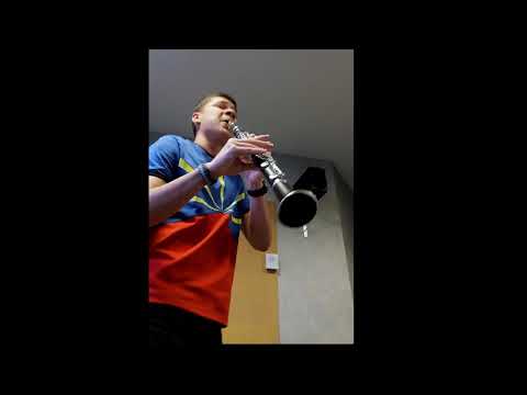 Anthony - The Klezmer's freilach