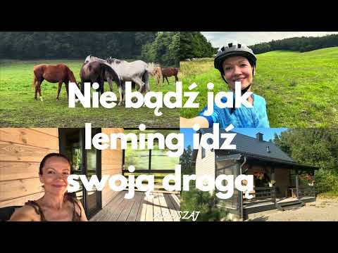 Domek pod lasem. Nie bądź jak leming-idź swoją drogą