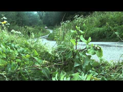 G.Pękala / P.Miller - 4 SJS Maxi Oes Łapanów 02.07.2011 , fiat 126p