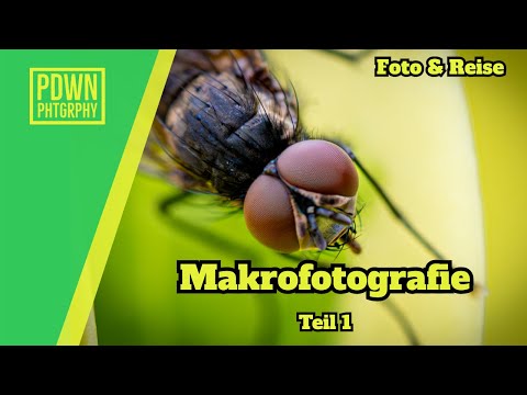 MACRO PHOTOGRAPHY Getting started in the macro world with the Nikon Z8 and the Nikon Z105 f2.8 Ma...