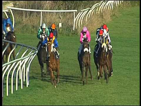 Galoppo 13/02/2016 - 4° corsa