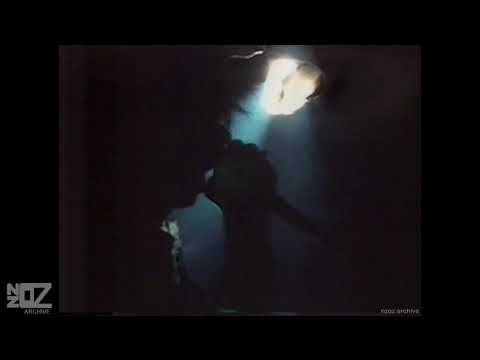 Deep in the Woods - The Birthday Party