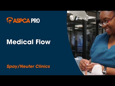 Spay/Neuter Clinic Flow: Medical Flow