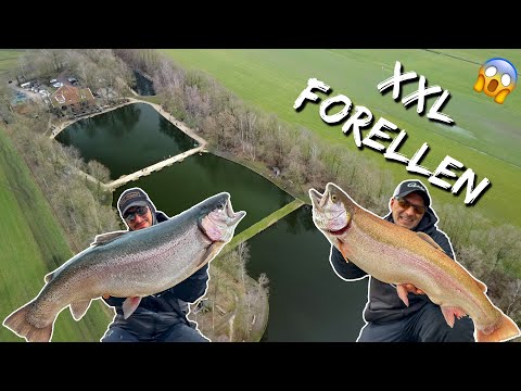 Das ultimative XXL-Forellenangel-Video! 😱 Die besten Tipps & Tricks für Monsterfische! 🎣