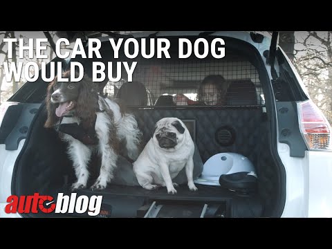 Nissan X-Trail 4Dogs Concept | Autoblog Minute