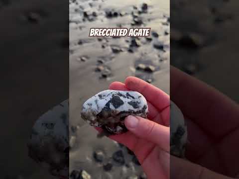 Nice breccia agate chunk. #Oregon #Coast #Pacific #Ocean #PNW #Beach #rock #agate #crystal #nature