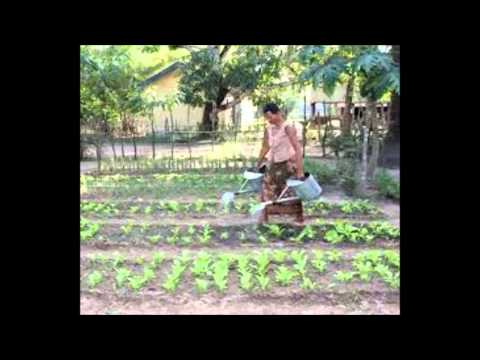 Juntos lo lograremos