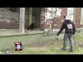 Detroit Dog Fighting Caught on Video 