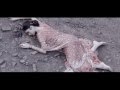 Hungama Bho Exclusive Song 2013 By Pramod Kharel