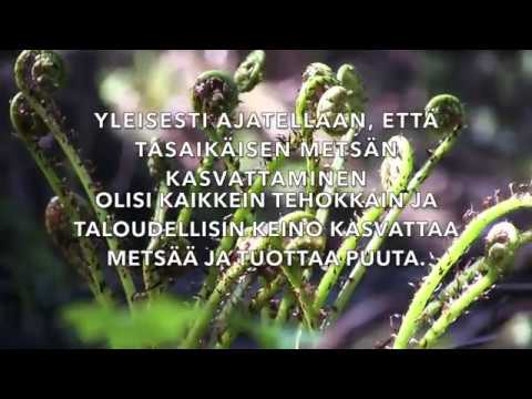 Jatkuva kasvatus avohakkuun tilalle