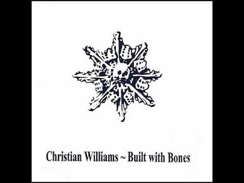 Christian Williams - When It's Roar Woke Me Up