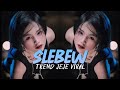 DJ SLEBEW TREND JEJE VIRAL TIKTOK REMIX FULL BASS DJ ALENGKA