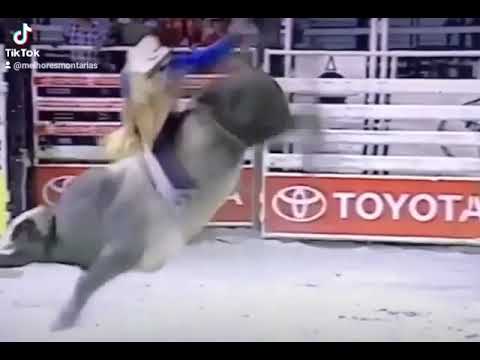 SIDNEY MARIA (EM MEMÓRIA) X WRANGLER - MUNDIAL TOYOTA 2001