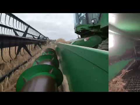 Harvesting barley, Northern Alberta