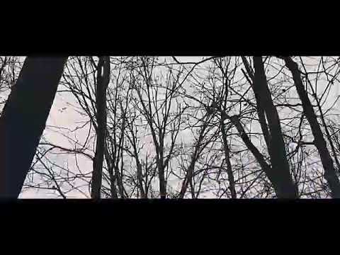 DJ Tarkan ft. Sagopa Kajmer OLDU OLANLAR.