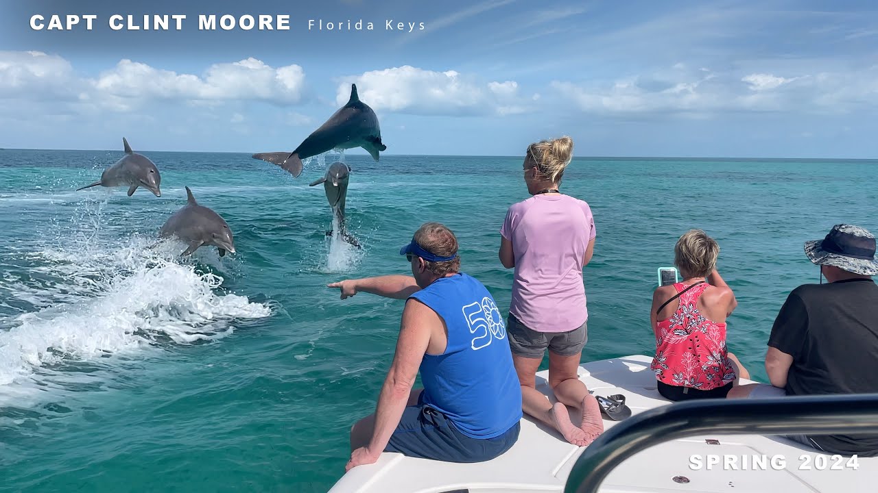 Video thumbnail of LFK Excursions in the Florida Keys