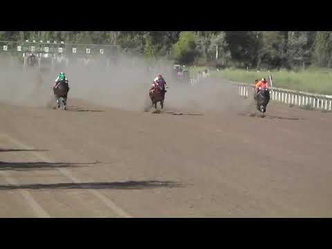 BELTRAN   15°   DEMONIO FAN  11-12-22