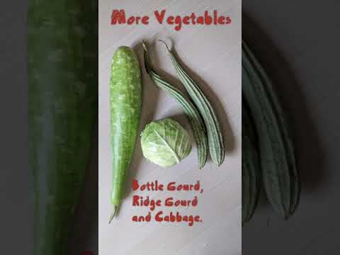 Dog-Food, Homemade & Human Grade