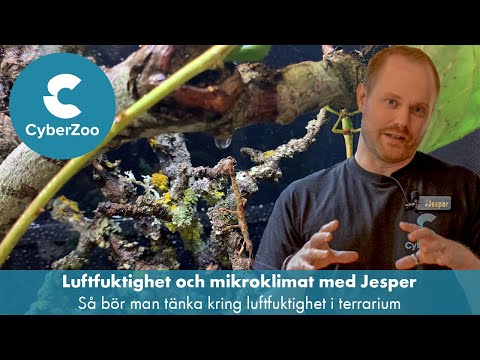 Humidity and microclimates with reptile veterinarian Jesper