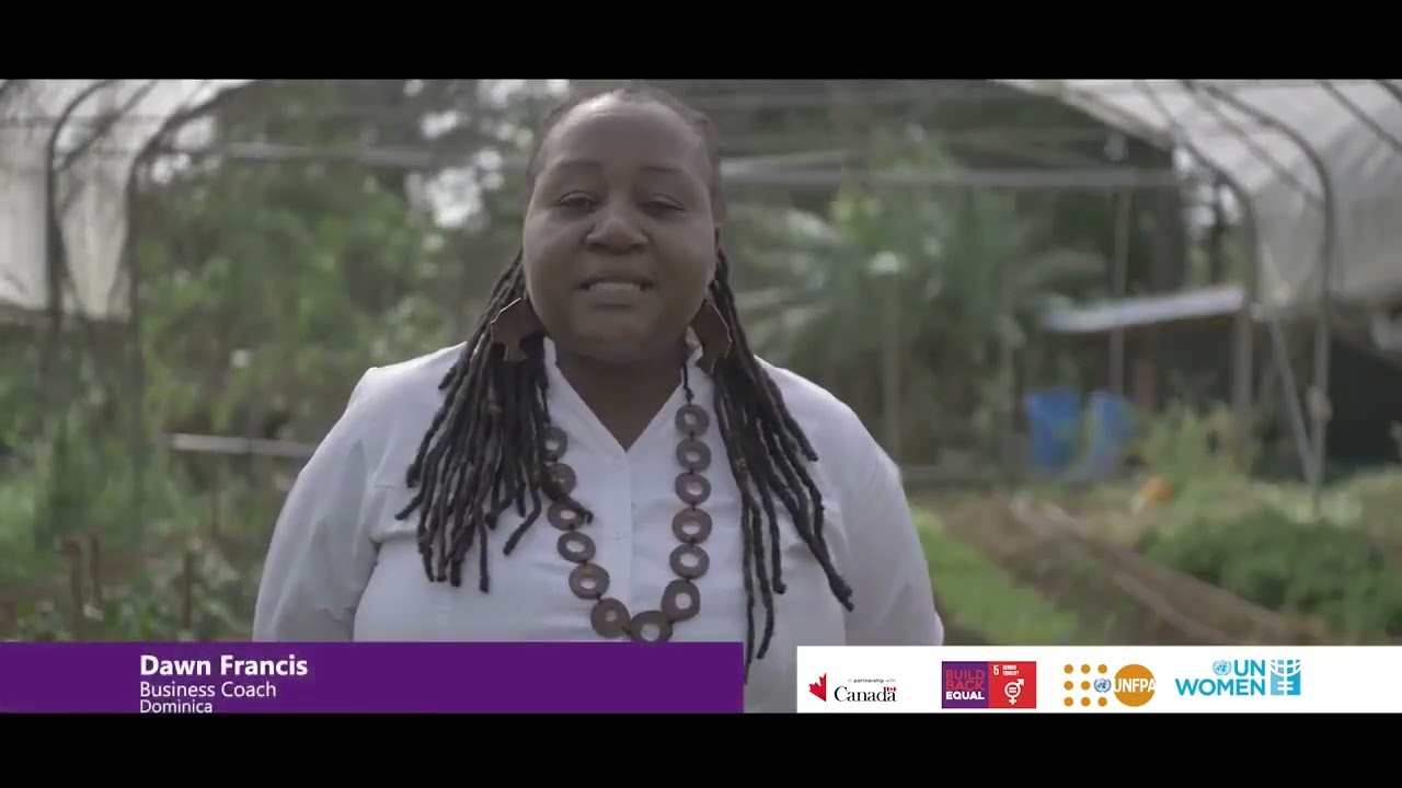 “Build Back Equal” Project | Dominica, Grenada, St. Lucia & St. Vincent and the Grenadines