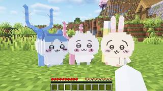 『ちいかわ』たちを仲間にできる世界でサバイバル【マインクラフト】