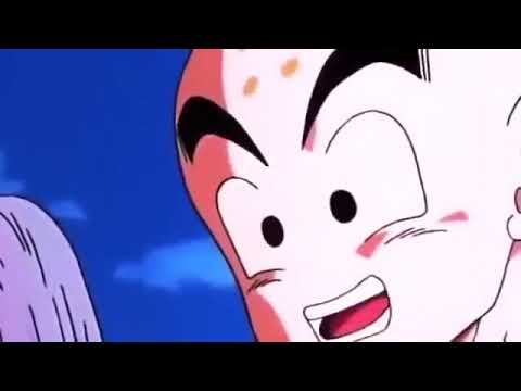 Gohan vs Cell Dub English