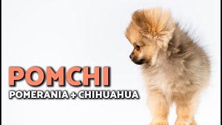 Thumbnail del capítulo