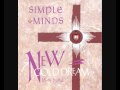 Simple Minds - Big Sleep