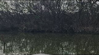 Bass Fishing For 1 Hour or Less ! How Many can we catch