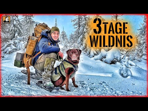 3 DAYS of wilderness in the SNOW with DOG - BIVOUAC in WINTER | Survival Mattin