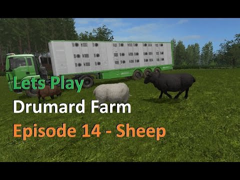 Lets Play Farming Simulator 17 Series 3 Drumard Farm Episode 14 - Sheep