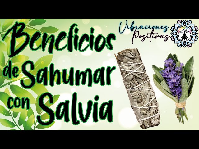 Vídeo relacionado con Scentorini Juego de regalo de varillas de incienso, 120 varillas con soporte, salvia blanca, canela, sándalo, rosa, pachulí, para relajación, yoga y aromaterapia