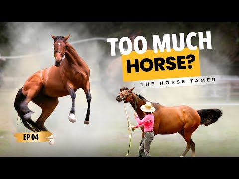 The Hidden Reason Your Horse Feels Dangerous | Ep. 4 The Horse Tamer (Leslie & Solo Tu)