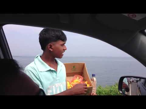 A day before Rock Meets Reggae Concert